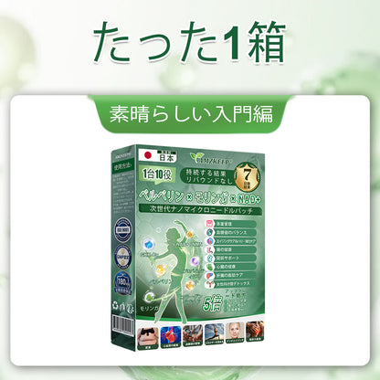 💎AMZKEEP® NAD+ 8-in-1 ナノ処方✨ 気になる内臓脂肪・ボディラインを毎日サポート🌿